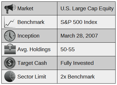 Overview of Large Cap Growth Portfolio